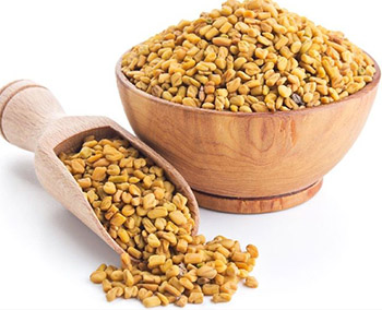 Fenugreek